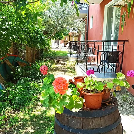Guest house Sunflowers 2*