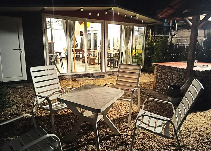 Sunflowers بوموري