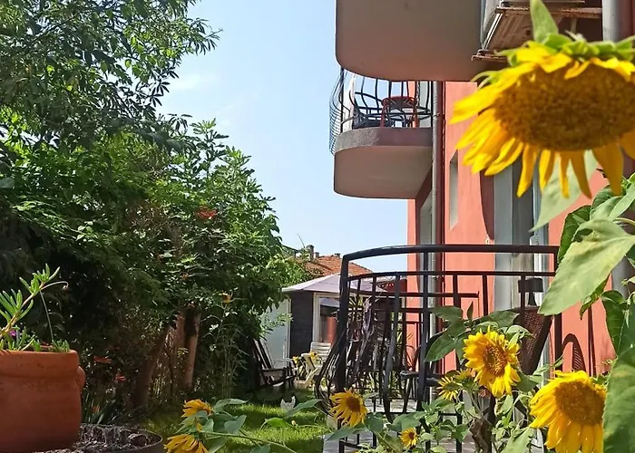 Sunflowers بيت ضيافة بوموري