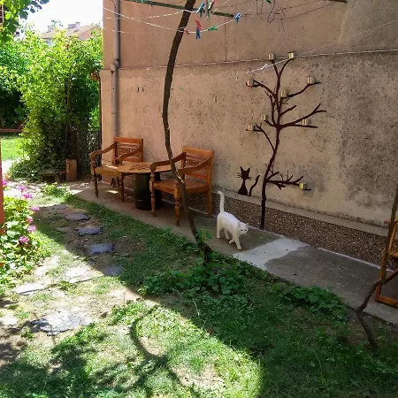 Sunflowers Gæstehus Pomorie