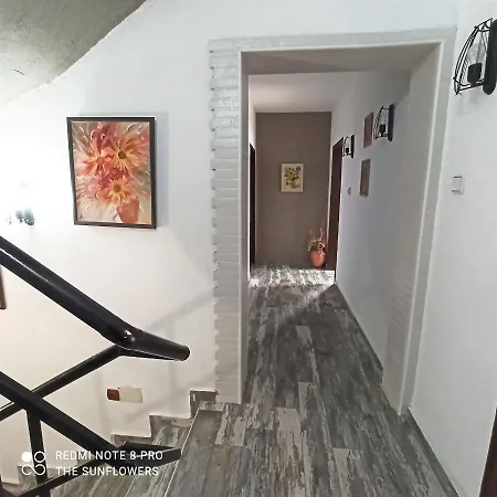 Sunflowers בית הארחה 3*