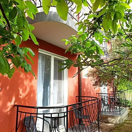 слънчогледите