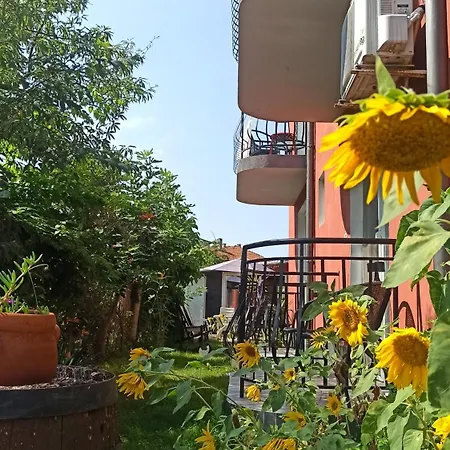 Sunflowers Pensionat Pomorie