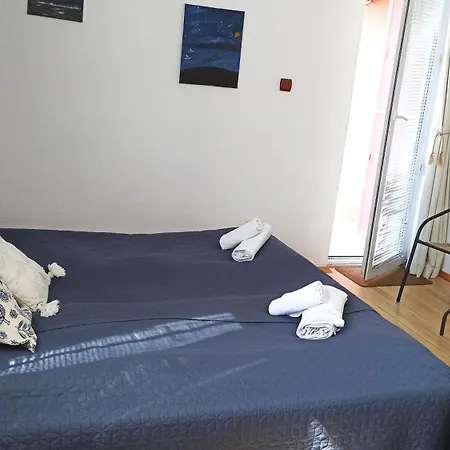 Sunflowers 3* Pomorie