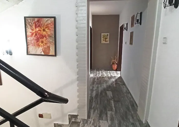 Sunflowers 게스트하우스 3*