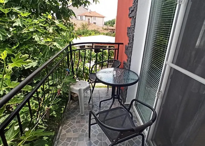 Sunflowers 게스트하우스 3*