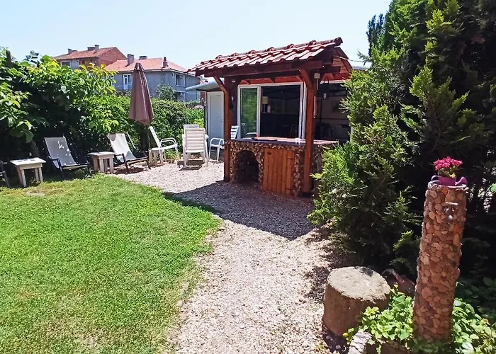 Sunflowers Pomorie