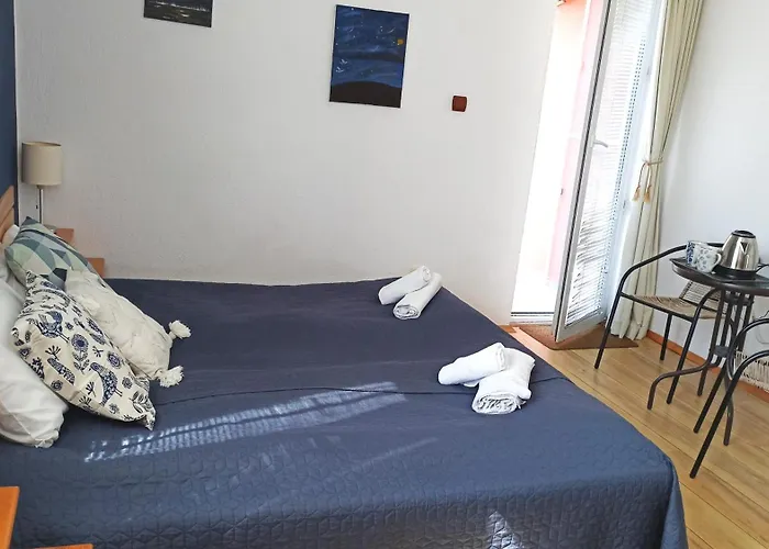 Sunflowers 4* Pomorie